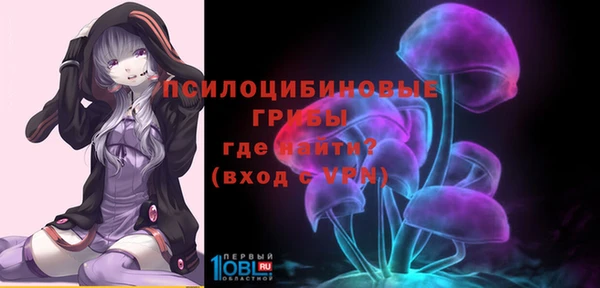 амф Сафоново