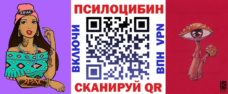 Псилоцибиновые грибы Psilocybe  Унеча 