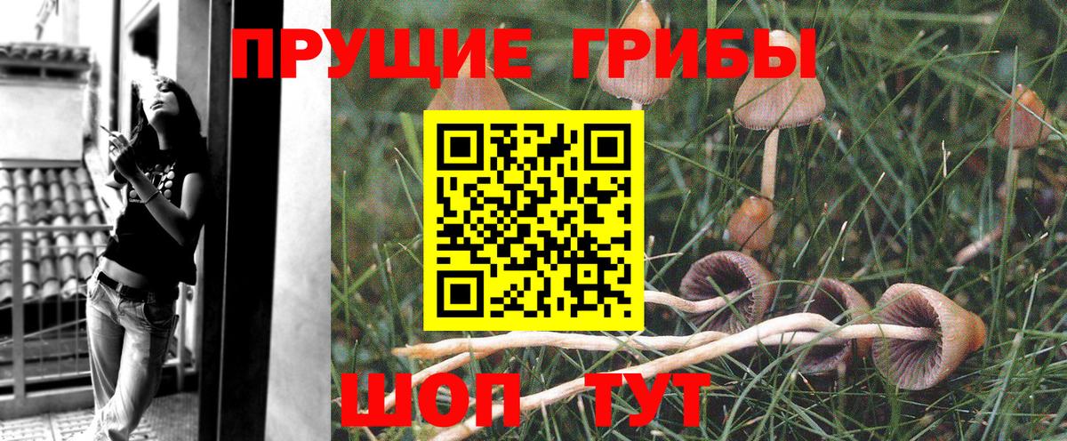 Галлюциногенные грибы мухоморы  Галлюциногенные грибы GOLDEN TEACHER  Унеча  Вход с VPN 