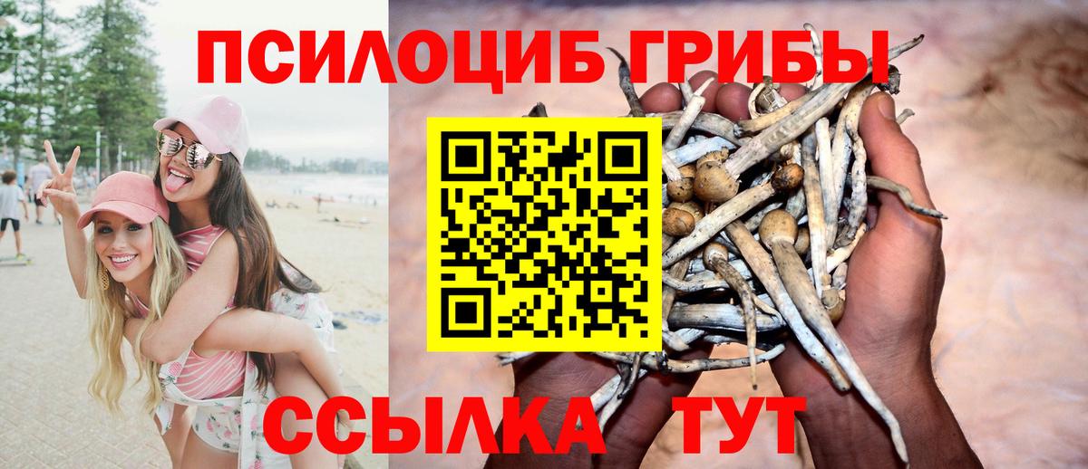 Галлюциногенные грибы GOLDEN TEACHER Унеча