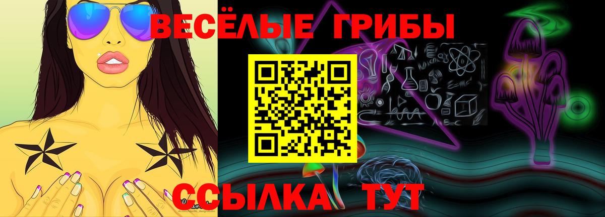 Гашиш  Унеча  COCAIN  Меф кристаллы  Конопля  Вход с VPN 